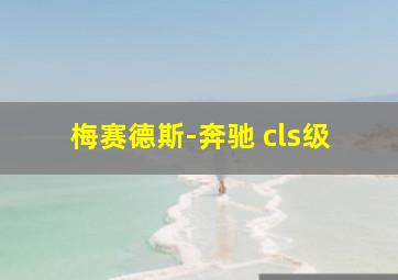 梅赛德斯-奔驰 cls级